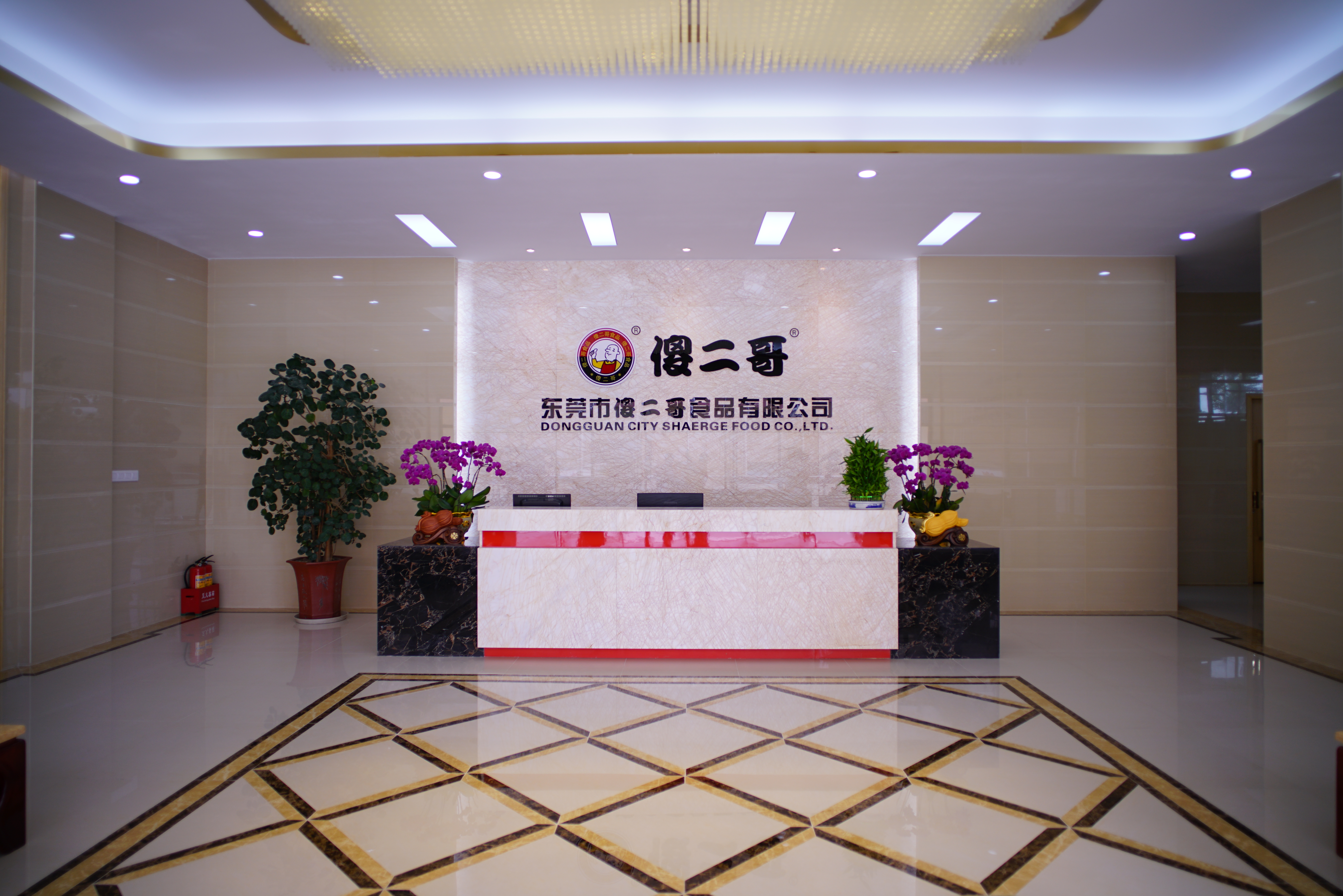 傻二哥公司盟道文化介紹